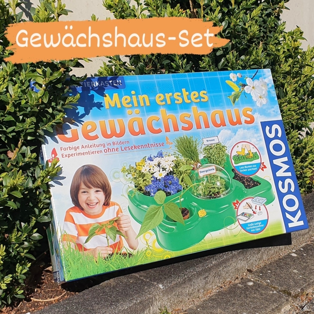 Mein erstes Gewächshaus Mein erstes Gewächshaus