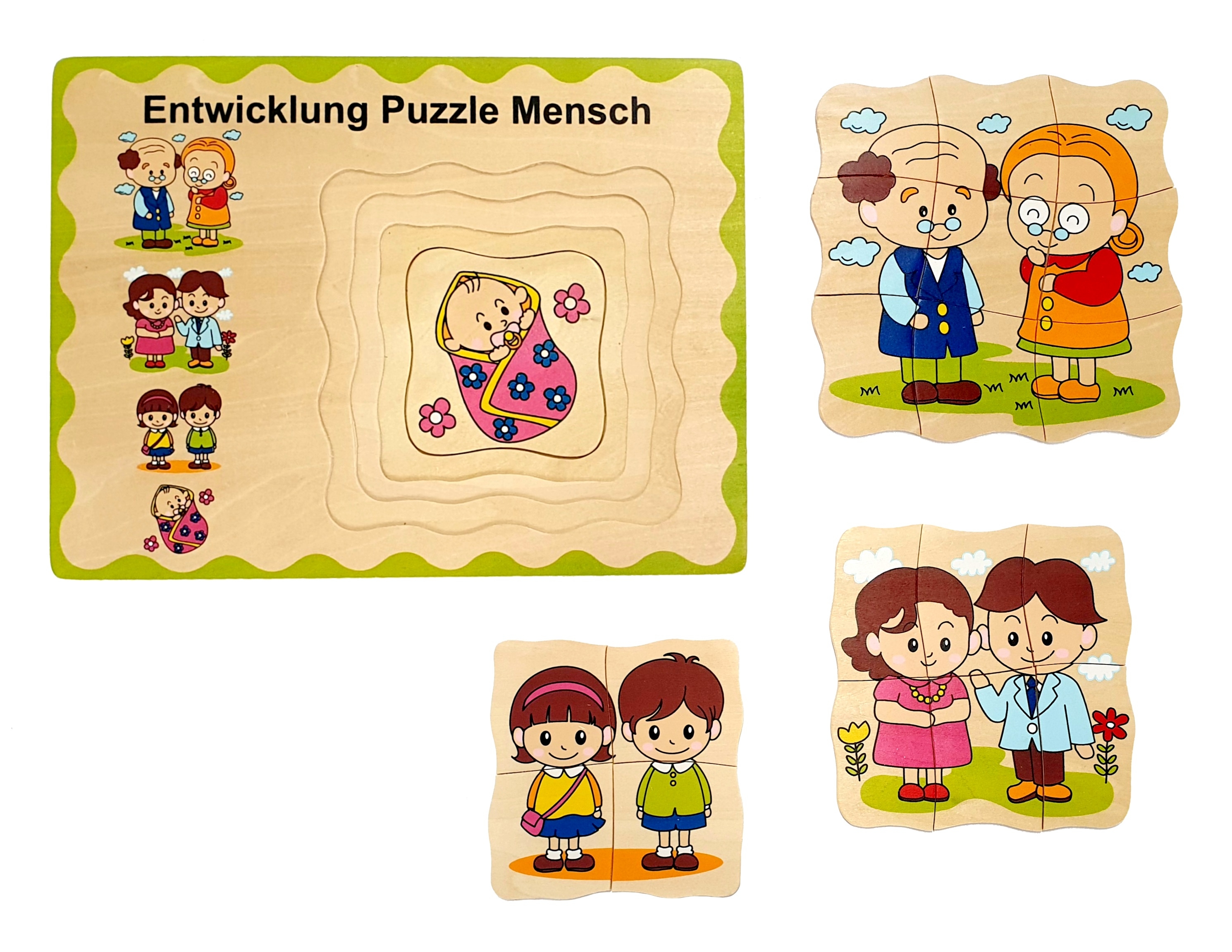 Entwicklungs-Puzzle Mensch Entwicklungs-Puzzle Mensch