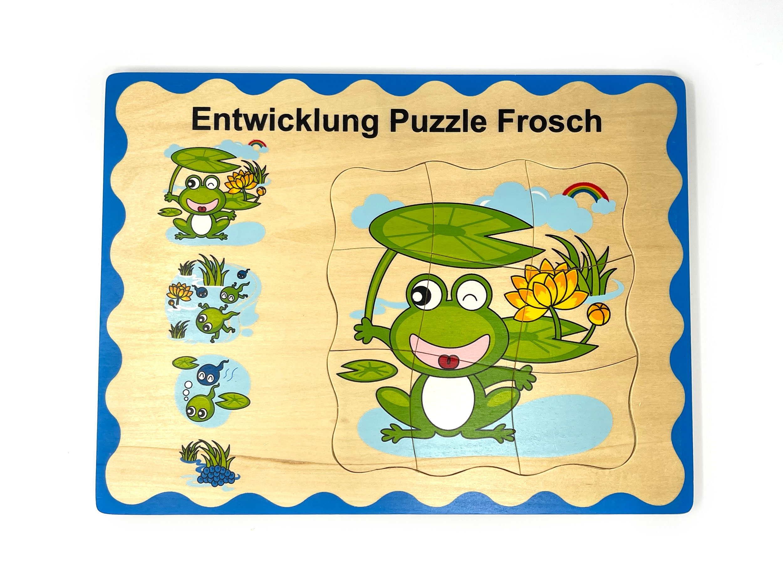 Entwicklungs-Puzzle Frosch