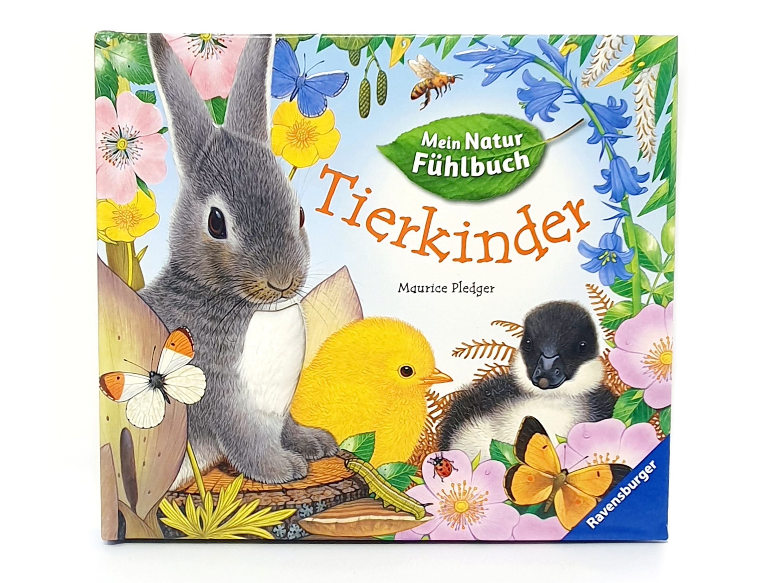 Tierkinder - Mein Natur Fühlbuch