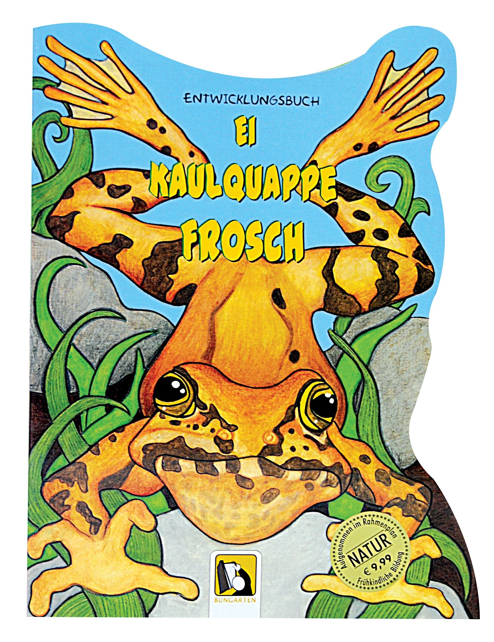 Entwicklungsbuch Ei- Kaulquappe - Frosch 3D Pop-up