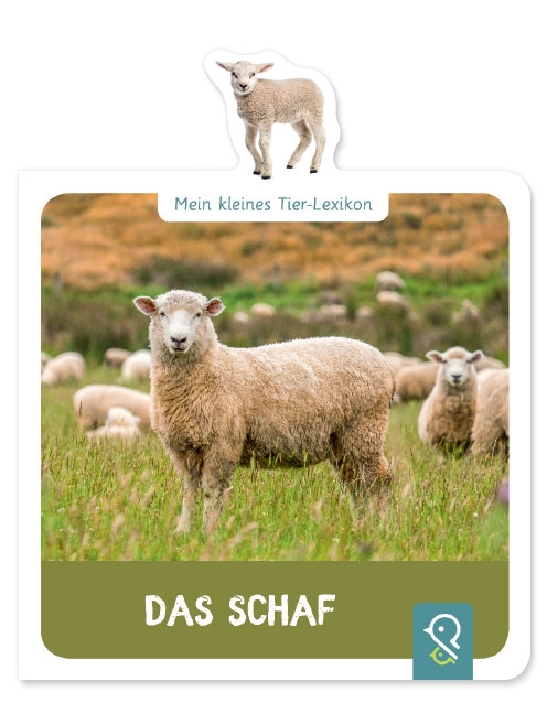 Mein kleines Tier-Lexikon: Das Schaf