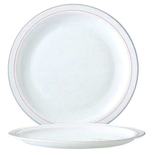 Arcopal Dessertteller Ø 19,5 cm, 4er oder 5er Pack Arcopal Dessertteller Ø 19,5 cm, 4er oder 5er Pack