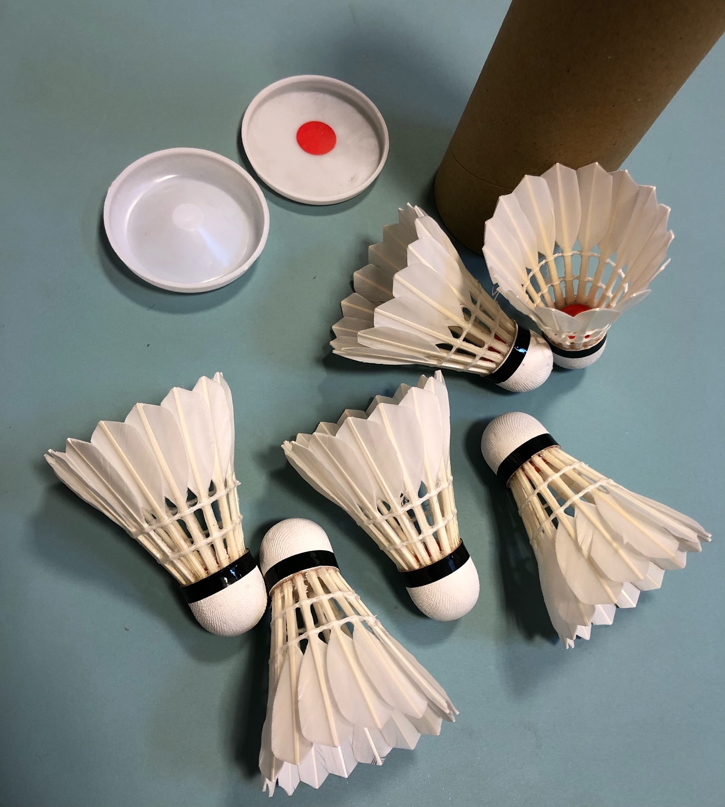 Natur-Federbälle Badminton
