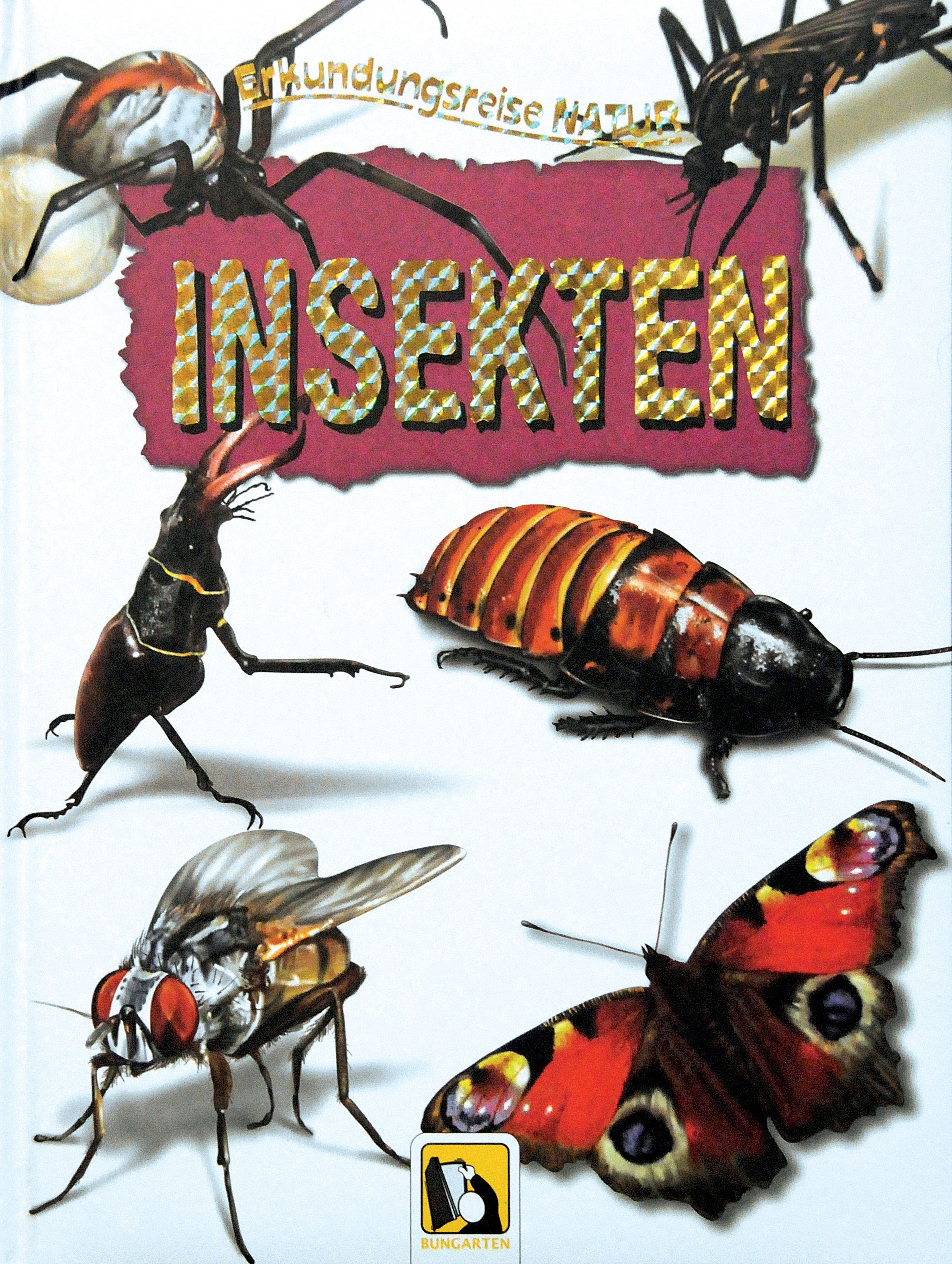 Erkundungsreise Natur Insekten Erkundungsreise Natur Insekten