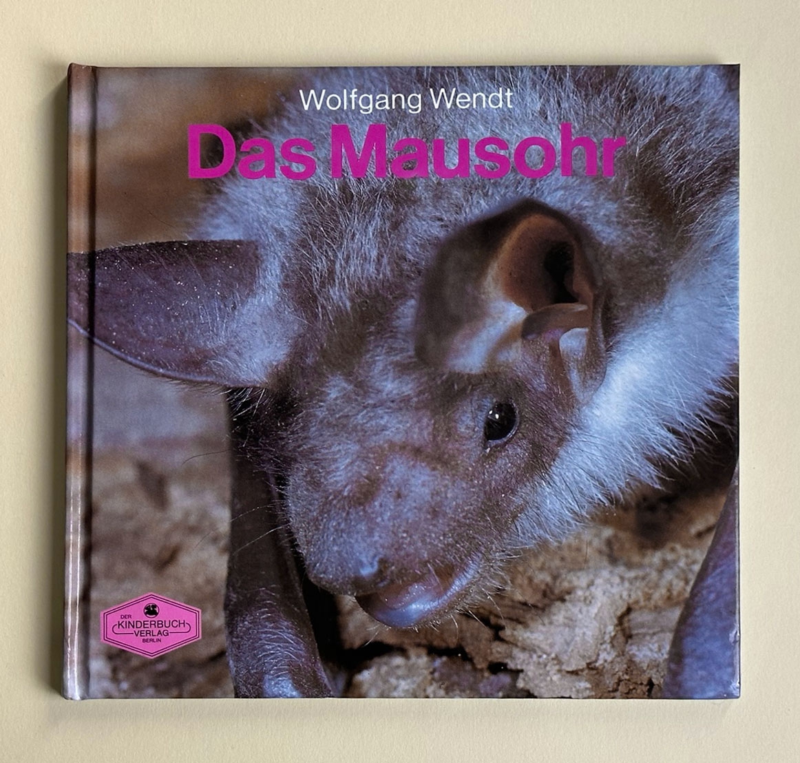 Das Mausohr Das Mausohr